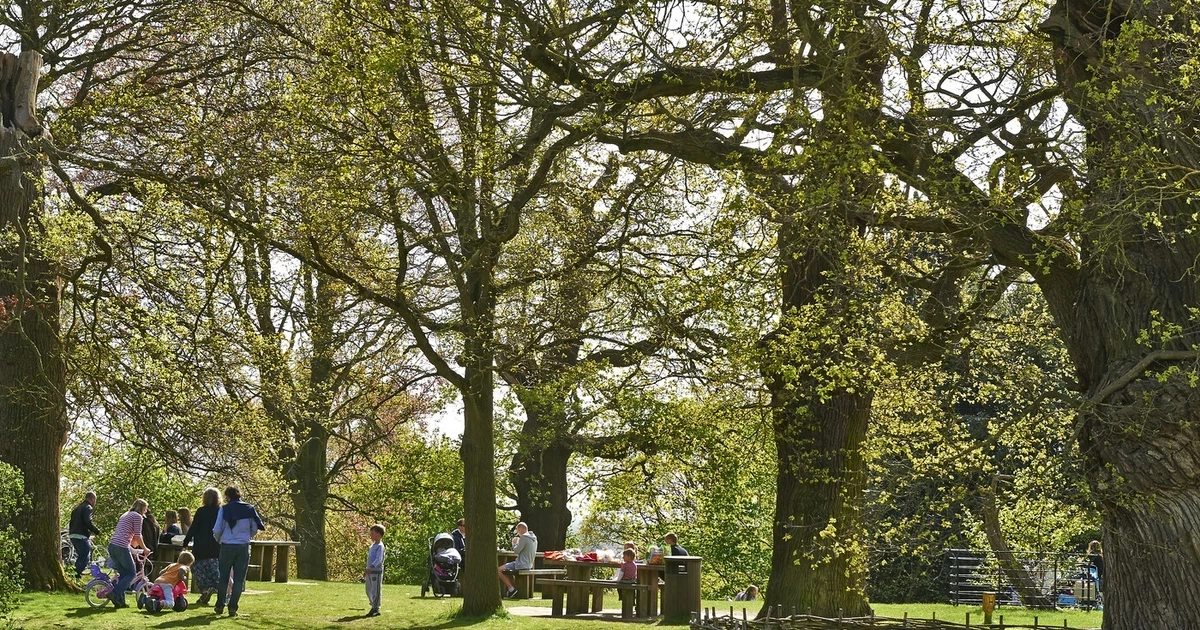 Petersham Gate playground The Royal Parks